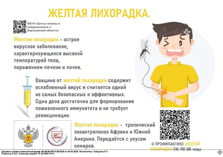 Профилактика желтой лихорадки. Профилактика желтой лихорадки.